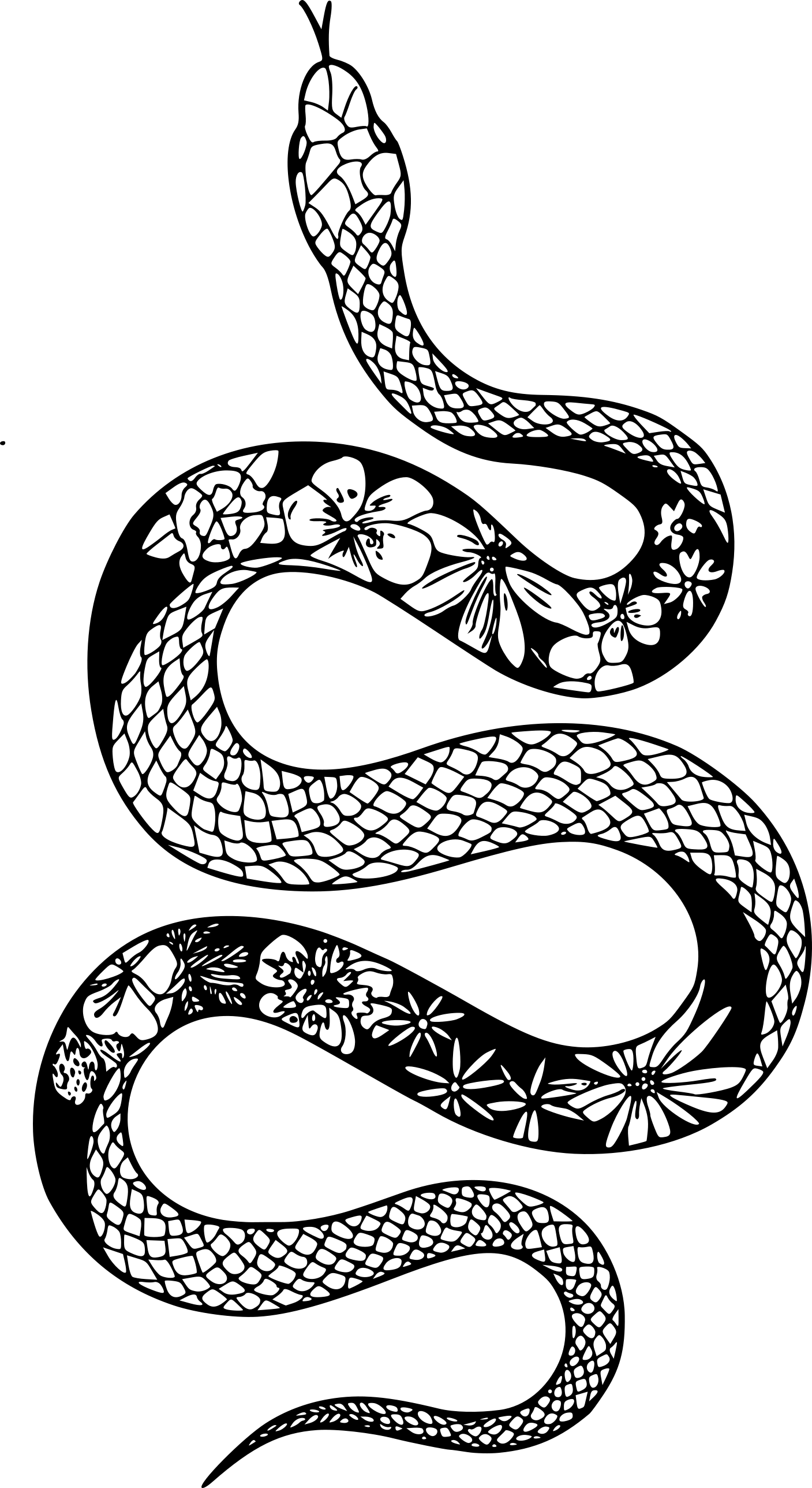 animals-snakes-a015-kohler-kustoms