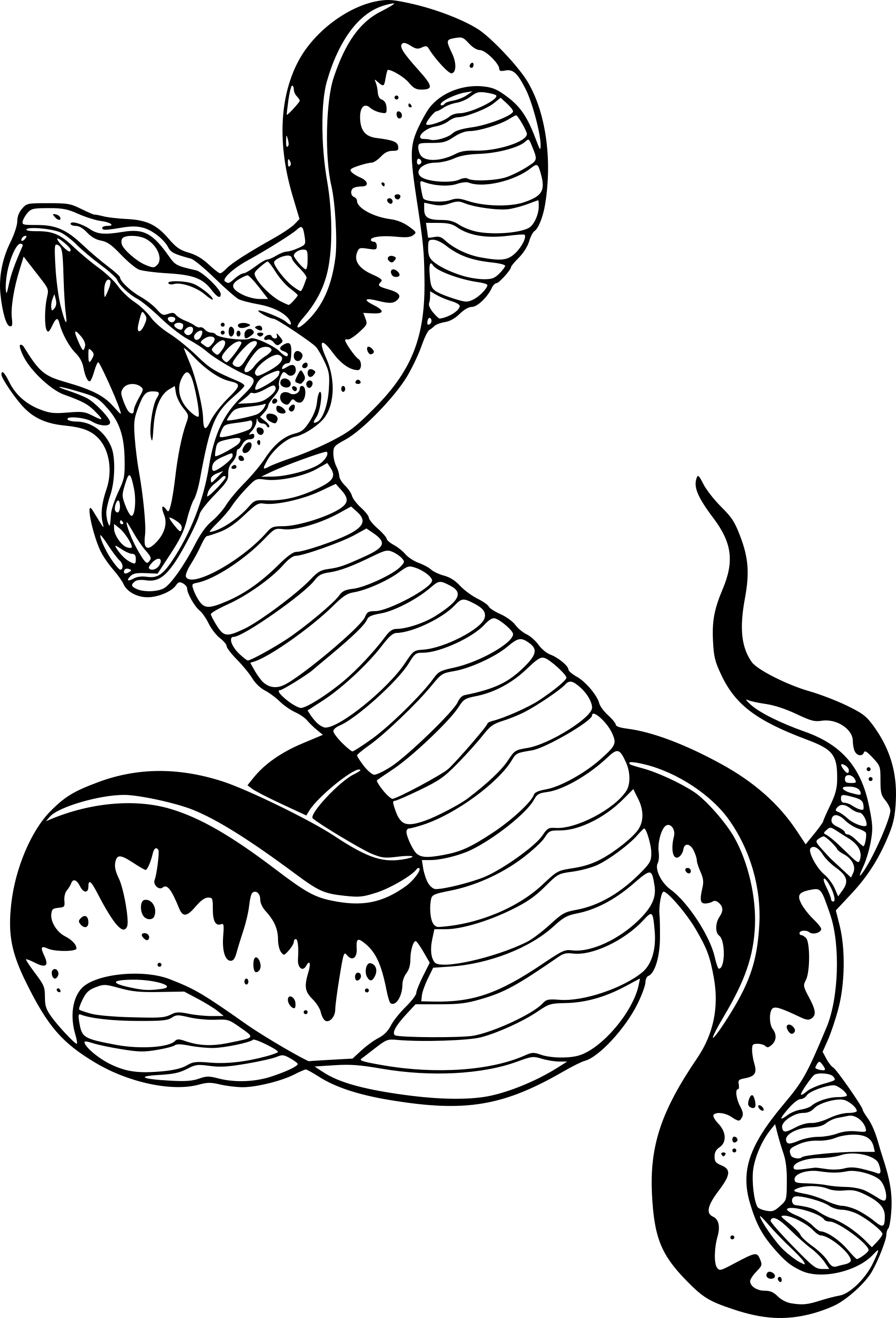 animals-snakes-a009-kohler-kustoms